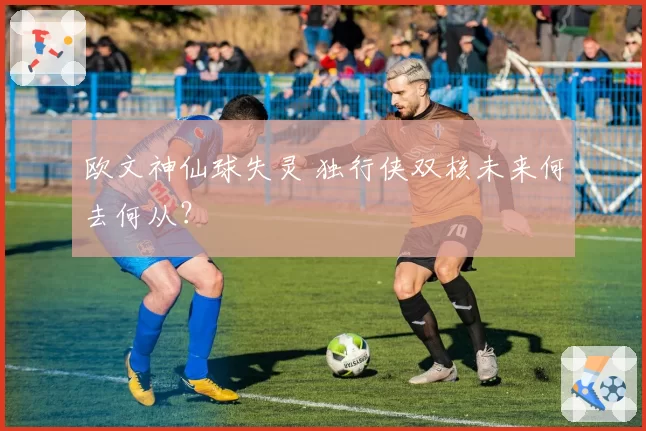 欧文神仙球失灵 独行侠双核未来何去何从？