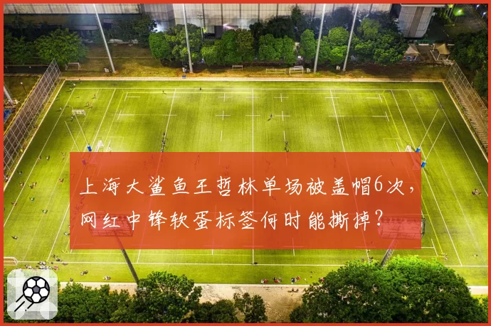 上海大鲨鱼王哲林单场被盖帽6次，网红中锋软蛋标签何时能撕掉？