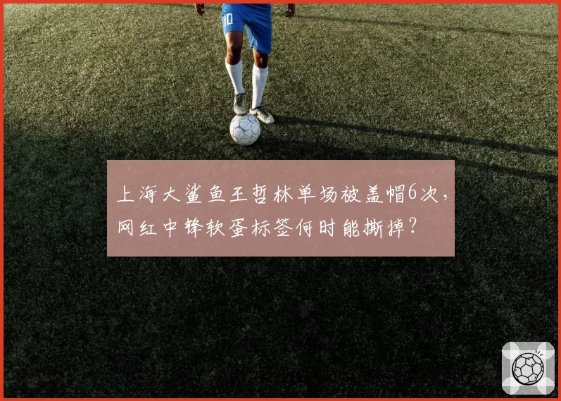 上海大鲨鱼王哲林单场被盖帽6次，网红中锋软蛋标签何时能撕掉？